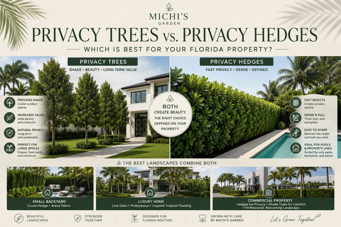 Privacy Trees vs. Privacy Hedges: Which Is Best for Your Florida Property?