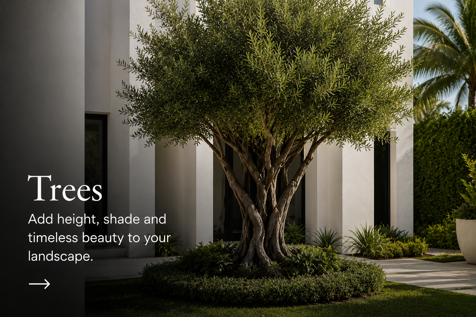 Trees