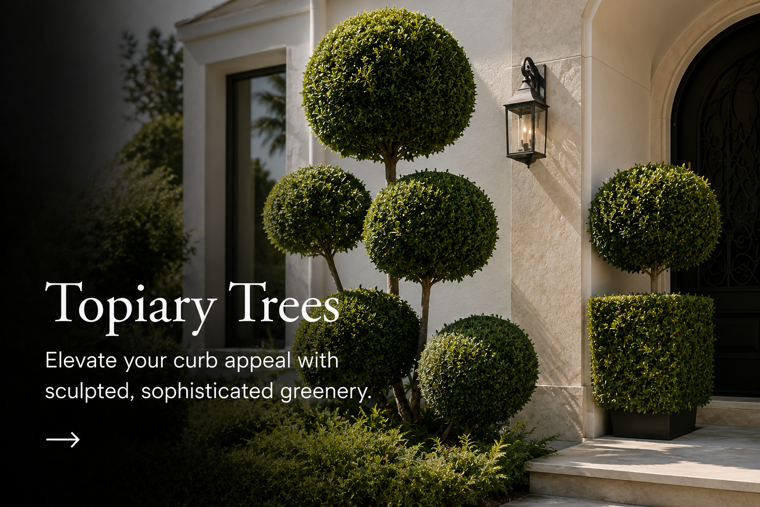 Topiary Trees