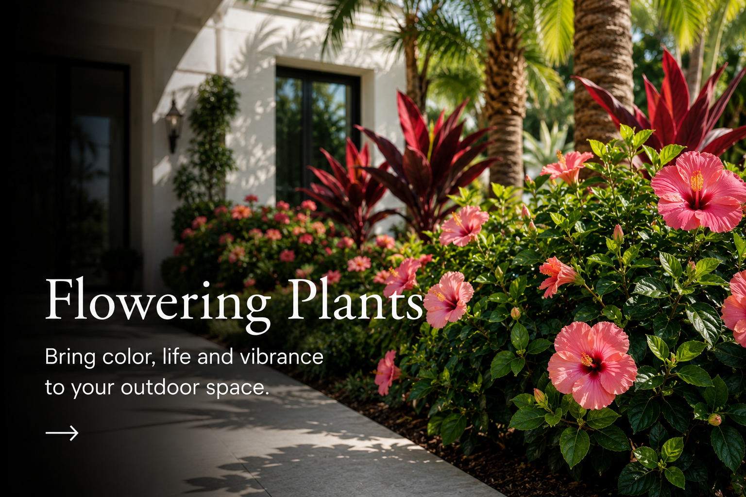 Flowering Plants