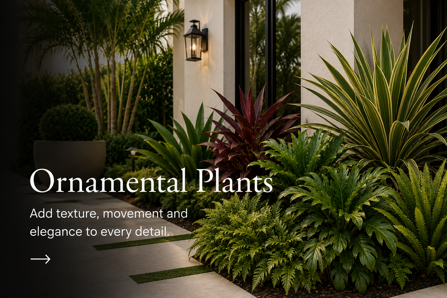 Ornamental Plants