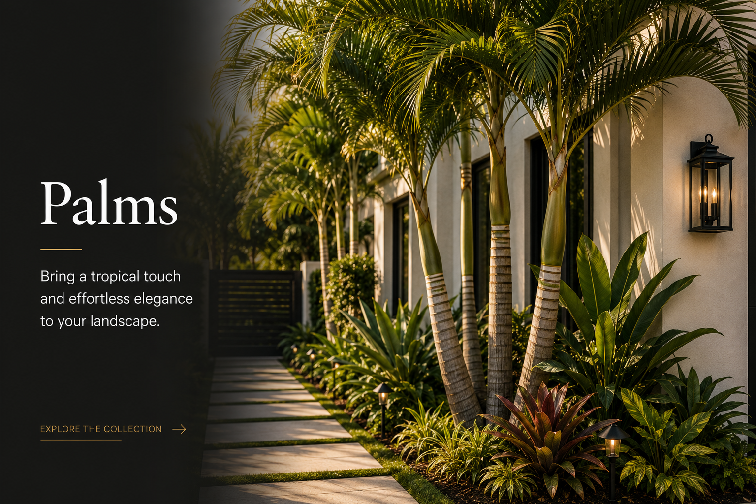 Palms