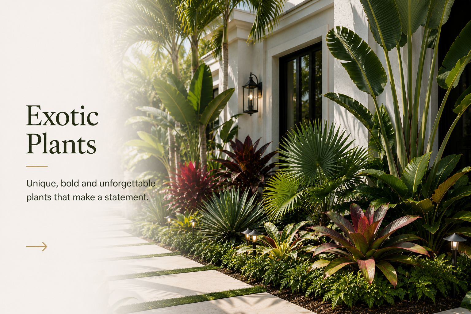 Exotic Plants