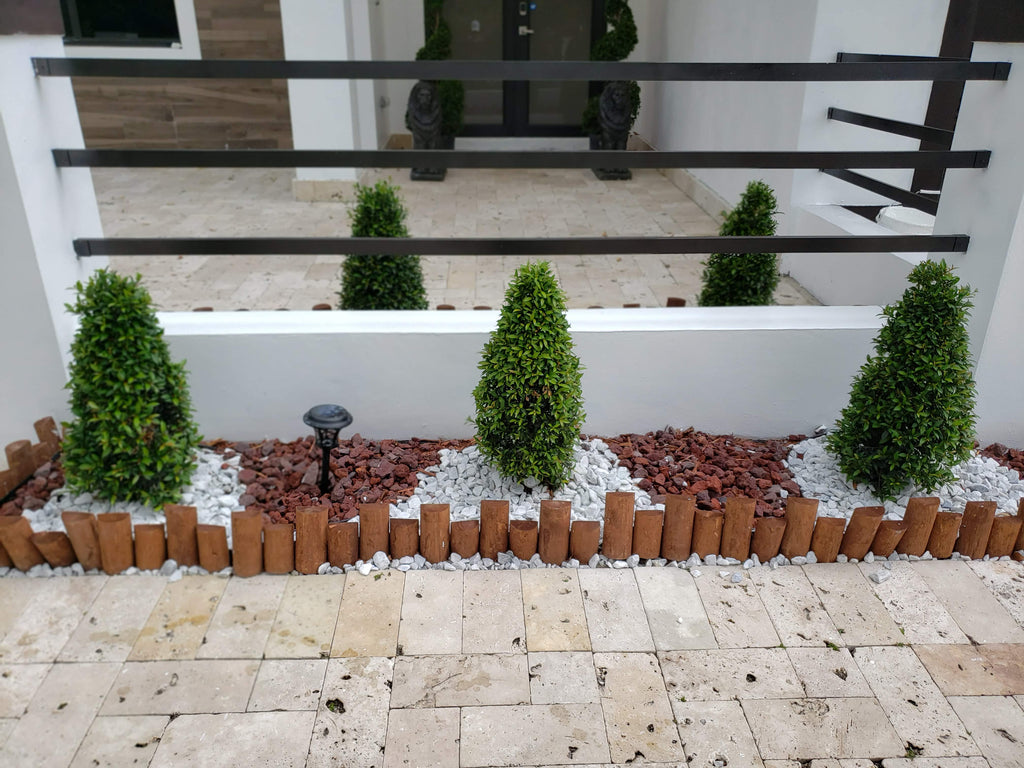 Eugenia Classic Cone Topiary (Small)