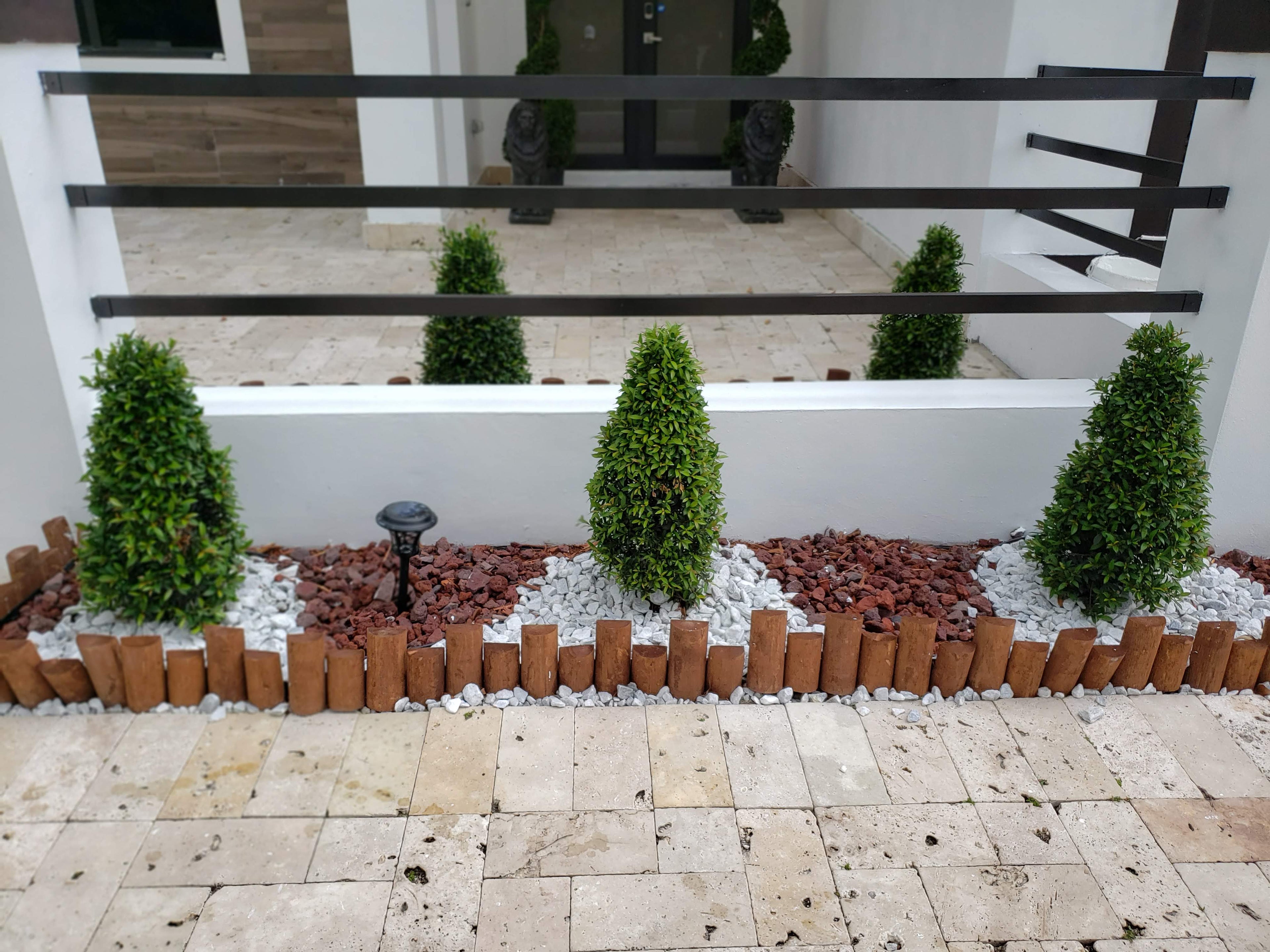 Eugenia Classic Cone Topiary (Small)
